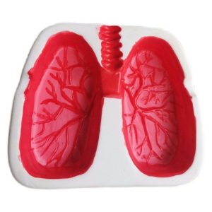 cendrier poumon design